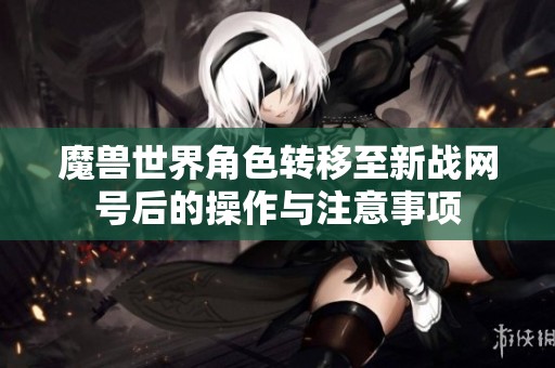 魔兽世界角色转移至新战网号后的操作与注意事项