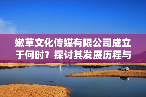 嫩草文化传媒有限公司成立于何时？探讨其发展历程与影响力