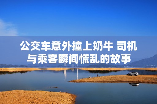 公交车意外撞上奶牛 司机与乘客瞬间慌乱的故事