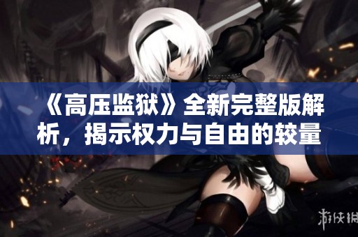 《高压监狱》全新完整版解析，揭示权力与自由的较量