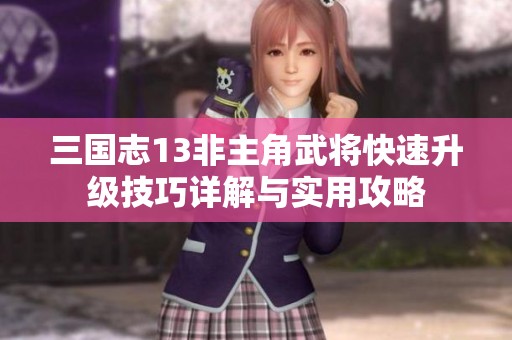 三国志13非主角武将快速升级技巧详解与实用攻略