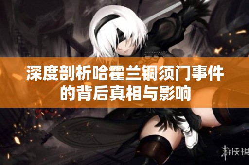 深度剖析哈霍兰铜须门事件的背后真相与影响