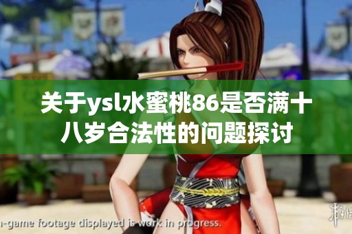 关于ysl水蜜桃86是否满十八岁合法性的问题探讨