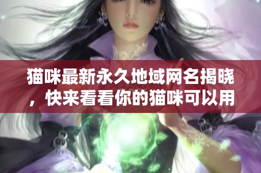猫咪最新永久地域网名揭晓，快来看看你的猫咪可以用什么新名字