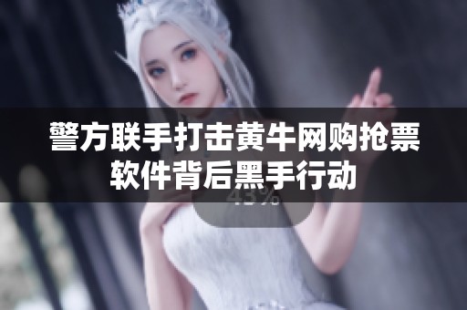 警方联手打击黄牛网购抢票软件背后黑手行动