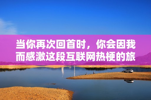 当你再次回首时，你会因我而感激这段互联网热梗的旅程