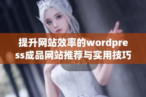提升网站效率的wordpress成品网站推荐与实用技巧分享