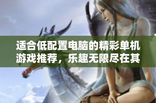 适合低配置电脑的精彩单机游戏推荐，乐趣无限尽在其中