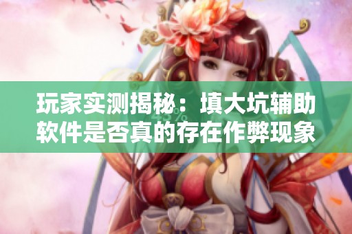玩家实测揭秘：填大坑辅助软件是否真的存在作弊现象