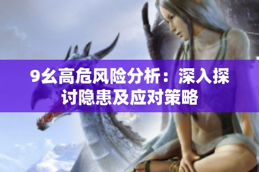 9幺高危风险分析：深入探讨隐患及应对策略