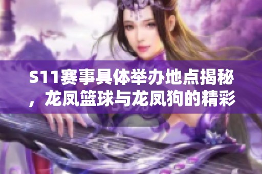 S11赛事具体举办地点揭秘，龙凤篮球与龙凤狗的精彩聚焦