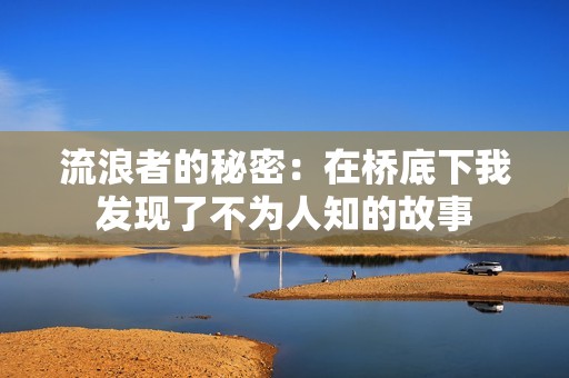 流浪者的秘密：在桥底下我发现了不为人知的故事