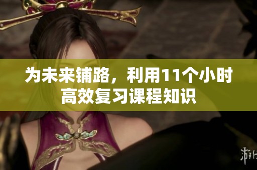 为未来铺路，利用11个小时高效复习课程知识