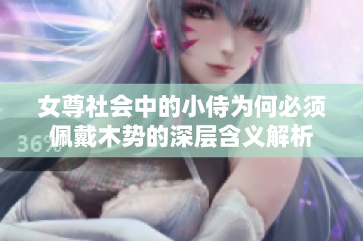 女尊社会中的小侍为何必须佩戴木势的深层含义解析