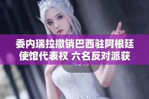 委内瑞拉撤销巴西驻阿根廷使馆代表权 六名反对派获庇护
