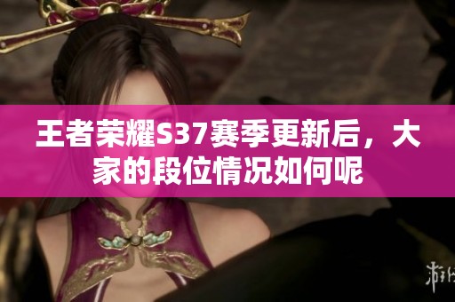 王者荣耀S37赛季更新后，大家的段位情况如何呢