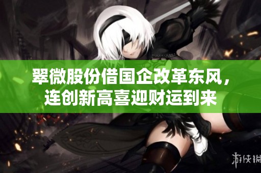 翠微股份借国企改革东风，连创新高喜迎财运到来