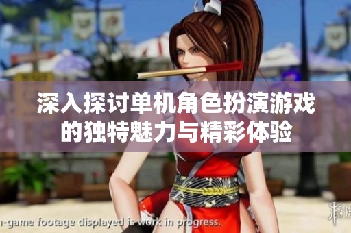 深入探讨单机角色扮演游戏的独特魅力与精彩体验