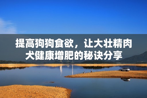 提高狗狗食欲，让大壮精肉犬健康增肥的秘诀分享