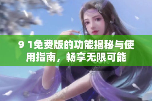 9 1免费版的功能揭秘与使用指南，畅享无限可能