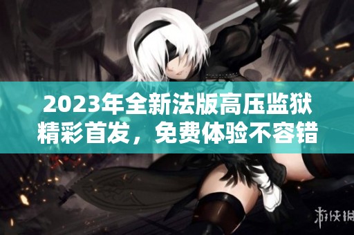 2023年全新法版高压监狱精彩首发，免费体验不容错过