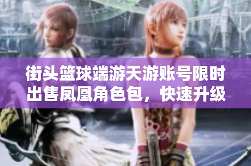 街头篮球端游天游账号限时出售凤凰角色包，快速升级至50级