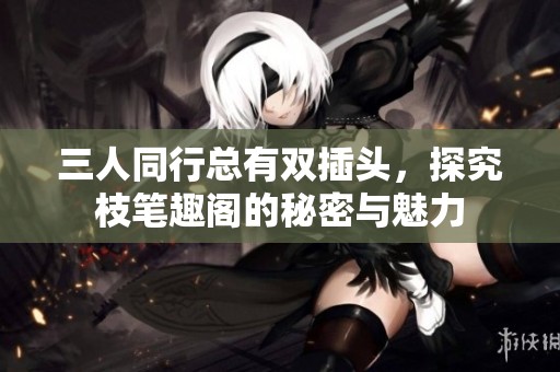 三人同行总有双插头，探究枝笔趣阁的秘密与魅力