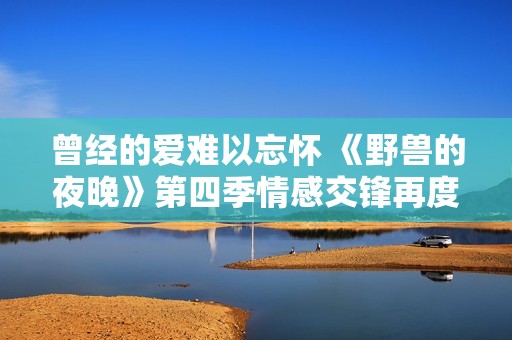 曾经的爱难以忘怀 《野兽的夜晚》第四季情感交锋再度开启
