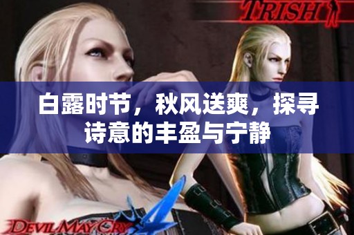 白露时节，秋风送爽，探寻诗意的丰盈与宁静