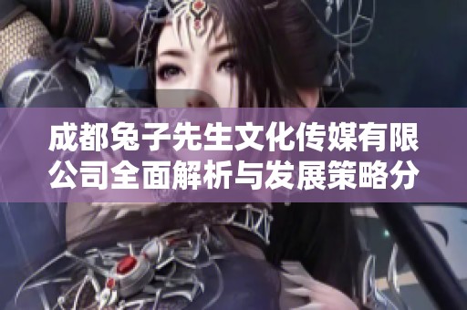 成都兔子先生文化传媒有限公司全面解析与发展策略分析