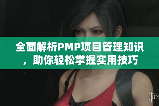 全面解析PMP项目管理知识，助你轻松掌握实用技巧