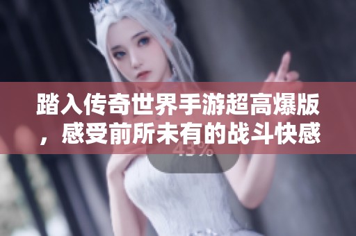 踏入传奇世界手游超高爆版，感受前所未有的战斗快感与冒险体验!