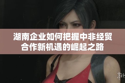 湖南企业如何把握中非经贸合作新机遇的崛起之路