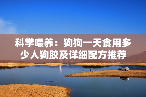 科学喂养：狗狗一天食用多少人狗胶及详细配方推荐