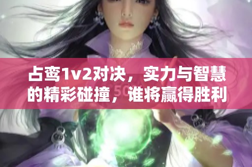 占鸾1v2对决，实力与智慧的精彩碰撞，谁将赢得胜利