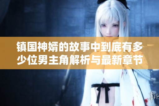 镇国神婿的故事中到底有多少位男主角解析与最新章节分享