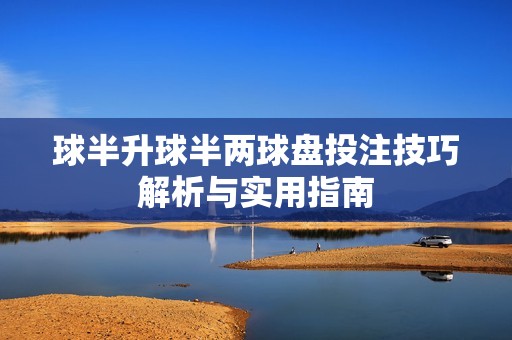 球半升球半两球盘投注技巧解析与实用指南
