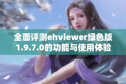 全面评测ehviewer绿色版1.9.7.0的功能与使用体验