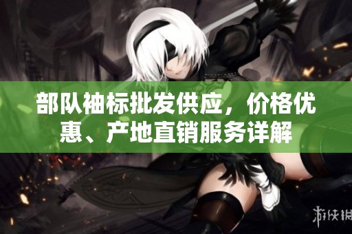 部队袖标批发供应，价格优惠、产地直销服务详解