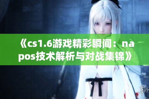 《cs1.6游戏精彩瞬间：napos技术解析与对战集锦》