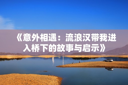 《意外相遇：流浪汉带我进入桥下的故事与启示》