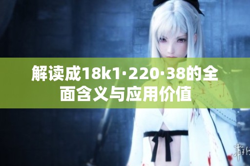 解读成18k1·220·38的全面含义与应用价值