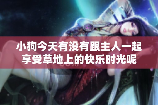 小狗今天有没有跟主人一起享受草地上的快乐时光呢