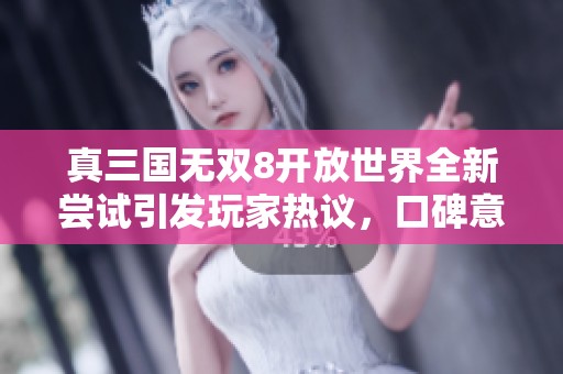 真三国无双8开放世界全新尝试引发玩家热议，口碑意见大相径庭