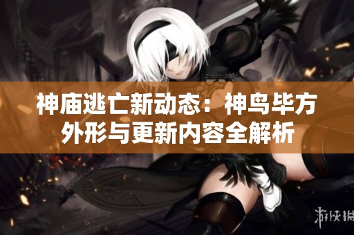 神庙逃亡新动态：神鸟毕方外形与更新内容全解析