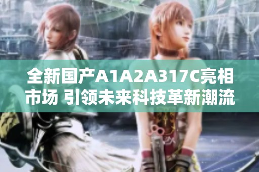 全新国产A1A2A317C亮相市场 引领未来科技革新潮流