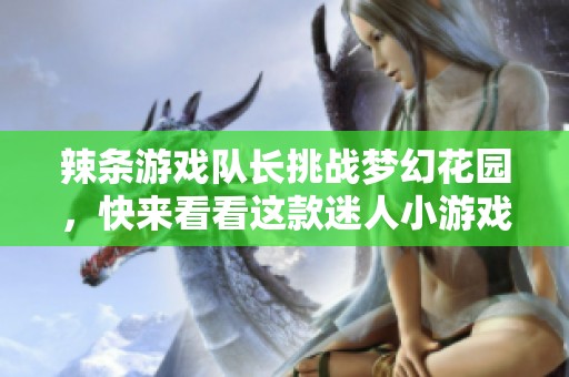 辣条游戏队长挑战梦幻花园，快来看看这款迷人小游戏视频吧！