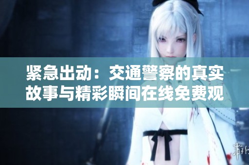 紧急出动：交通警察的真实故事与精彩瞬间在线免费观看