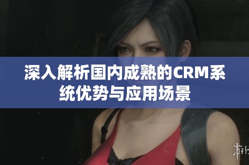 深入解析国内成熟的CRM系统优势与应用场景