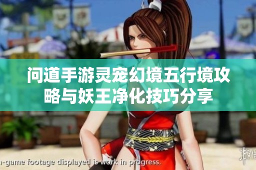 问道手游灵宠幻境五行境攻略与妖王净化技巧分享